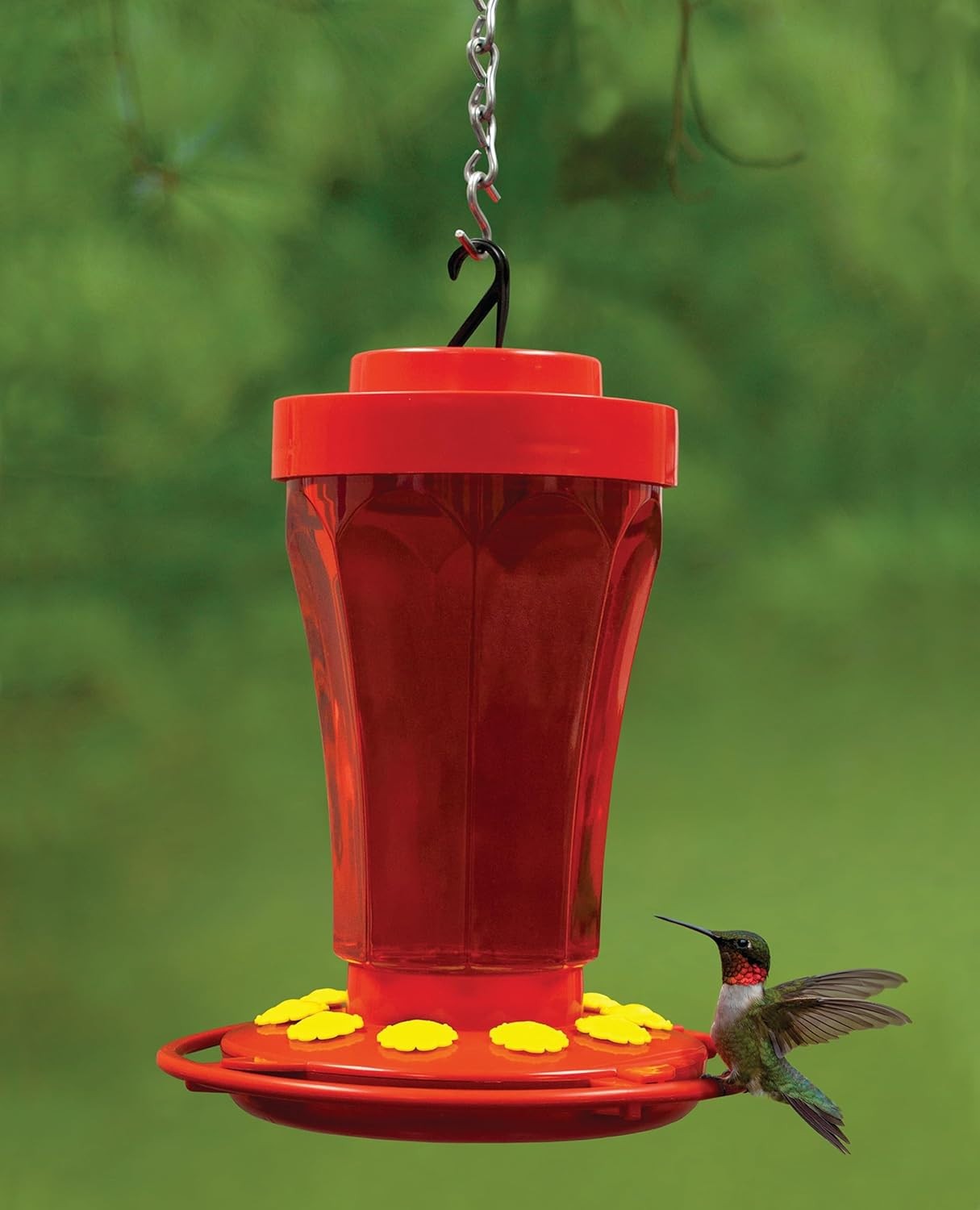 Red hummingbird feeder with a hummingbird perched on it against a green background.